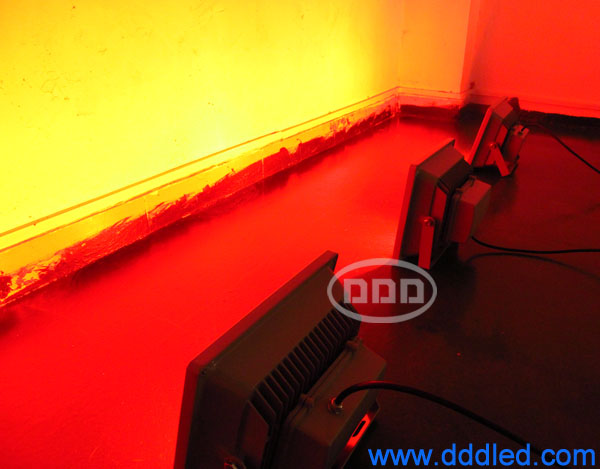 10w RGB LED flood light